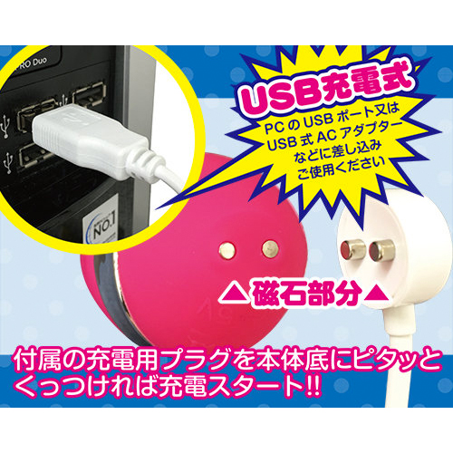 こちょこちょピスティ　USB充電部分画像