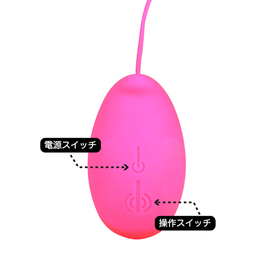 桜パッション　スティングタン コントロール部画像