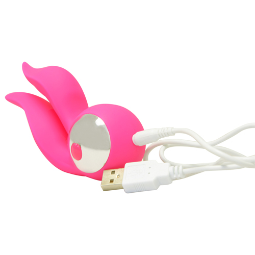 桜パッション アリスラヴ　USB充電画像