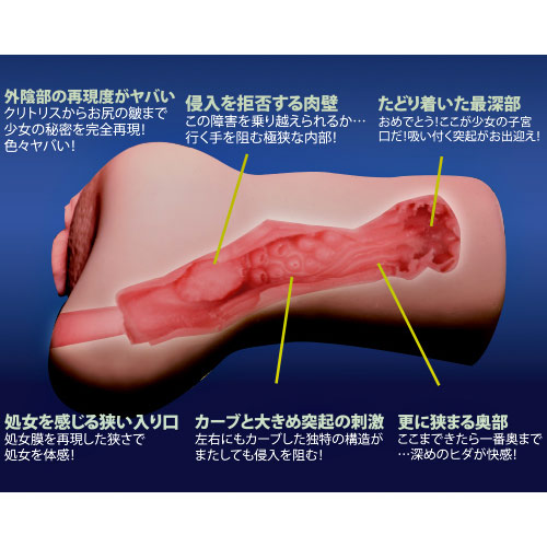 8回目 碧(あおい)　内部構造説明画像